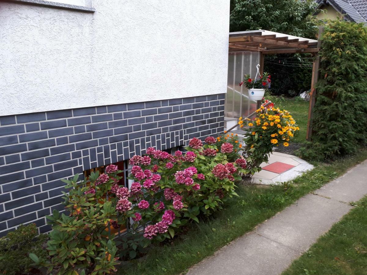 4you Berlin Dış mekan fotoğraf